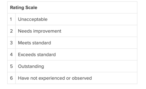 Supervisor Evaluation—A Complete Guide from A to Z - Primalogik