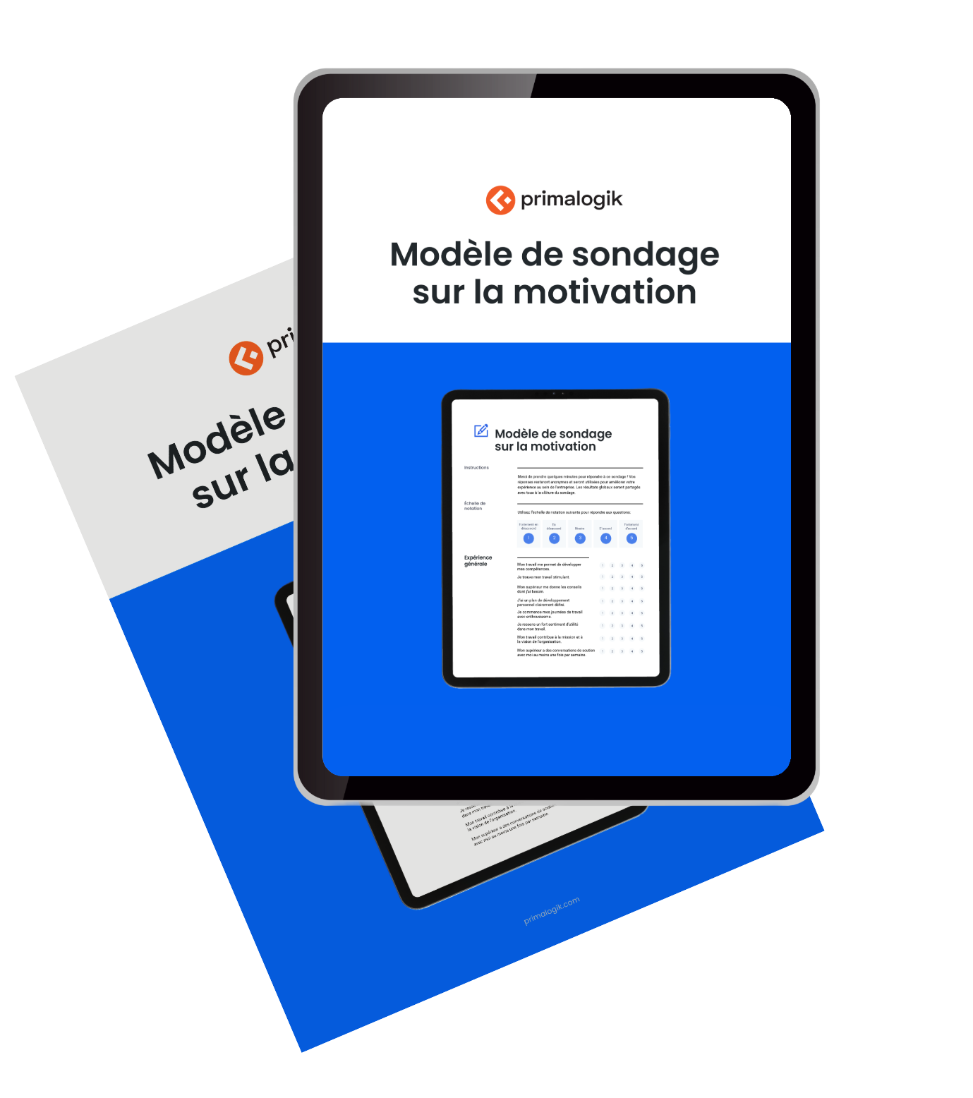 download image motivation survey FR