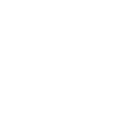 Logo de Lincoln Financial Group